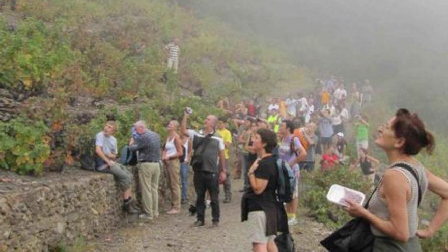 Rememoren el pas de Benjamin  de Banyuls a Portbou amb una ruta