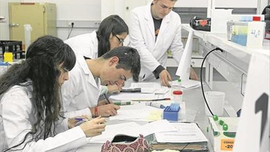 La Uex convoca los premios &#039;Investigar en ciencias&#039;