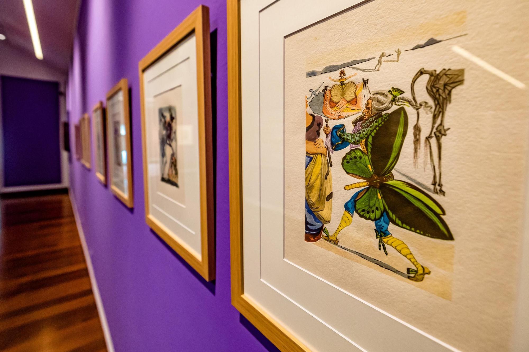 Exposición de Salvador Dalí en el MUBAG