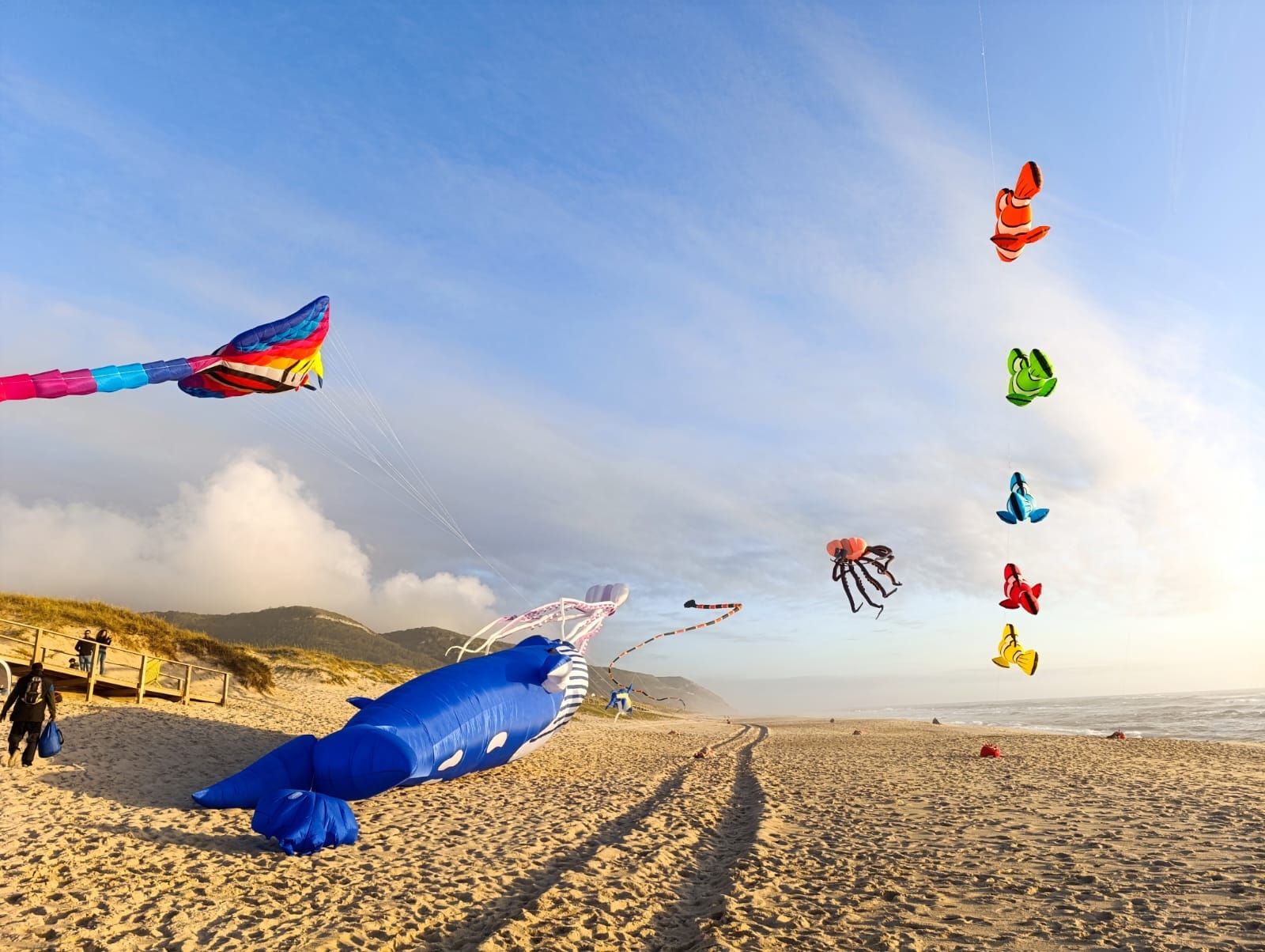 Magia para la vista: el festival de cometas que colorea el aire en Portugal