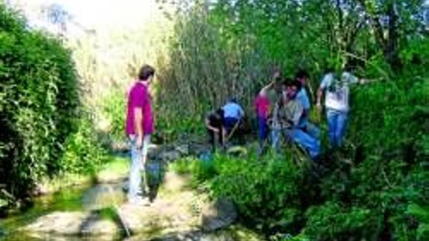 Voluntarios recuperan una de las norias antiguas del Harnina