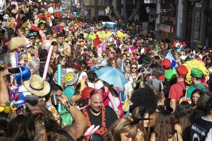 23.02.19. Las Palmas de Gran Canaria. Carnaval 2019. Carnaval de día en Vegueta.  Foto Quique Curbelo