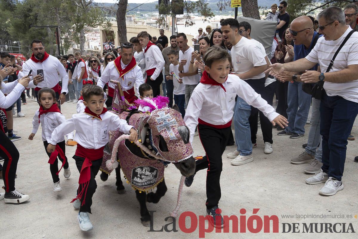 Fiestas de Caravaca | Desfile infantil del Bando de los Caballos del Vino