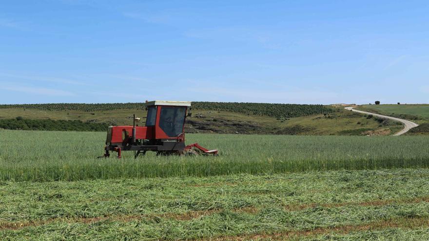 Grandes y pequeñas máquinas, aliadas del campo