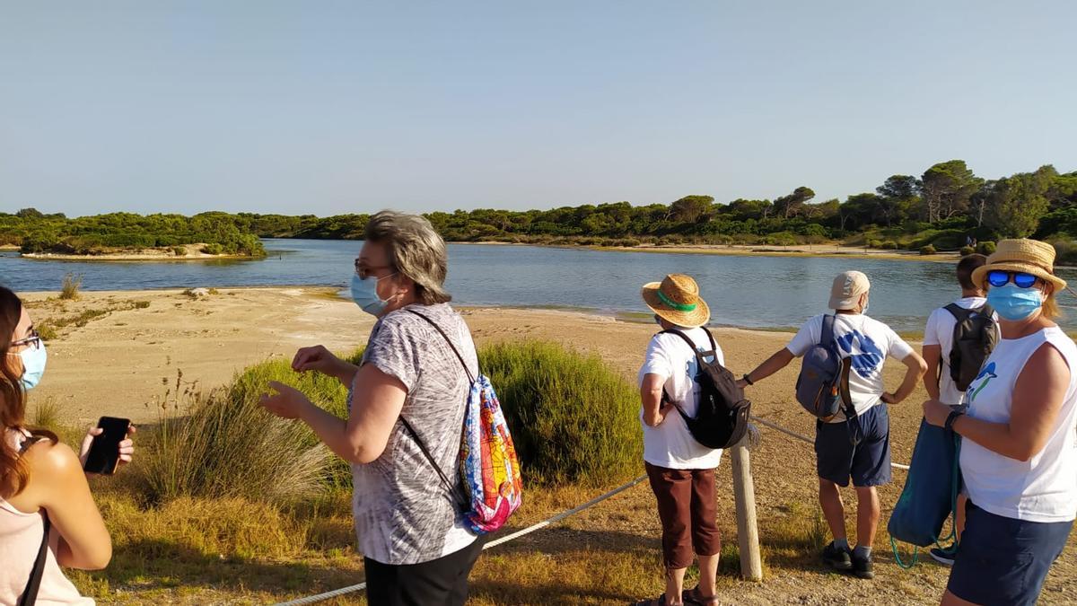 Voluntarios que trabajan en la protección del chorlitejo en l'Estany de Pujol