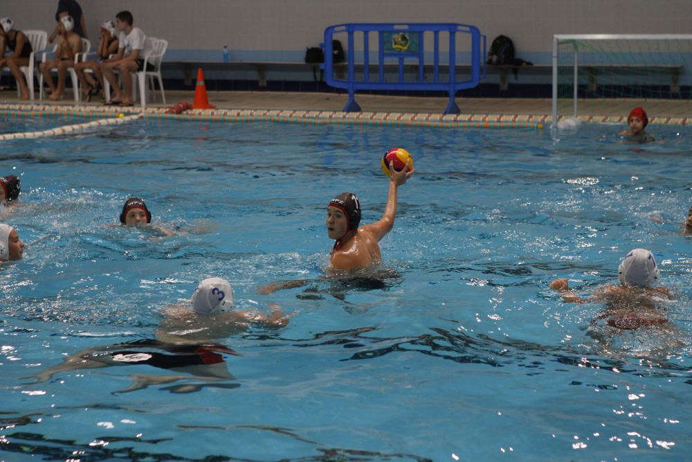 San Pedro 2016: Torneo alevín de waterpolo