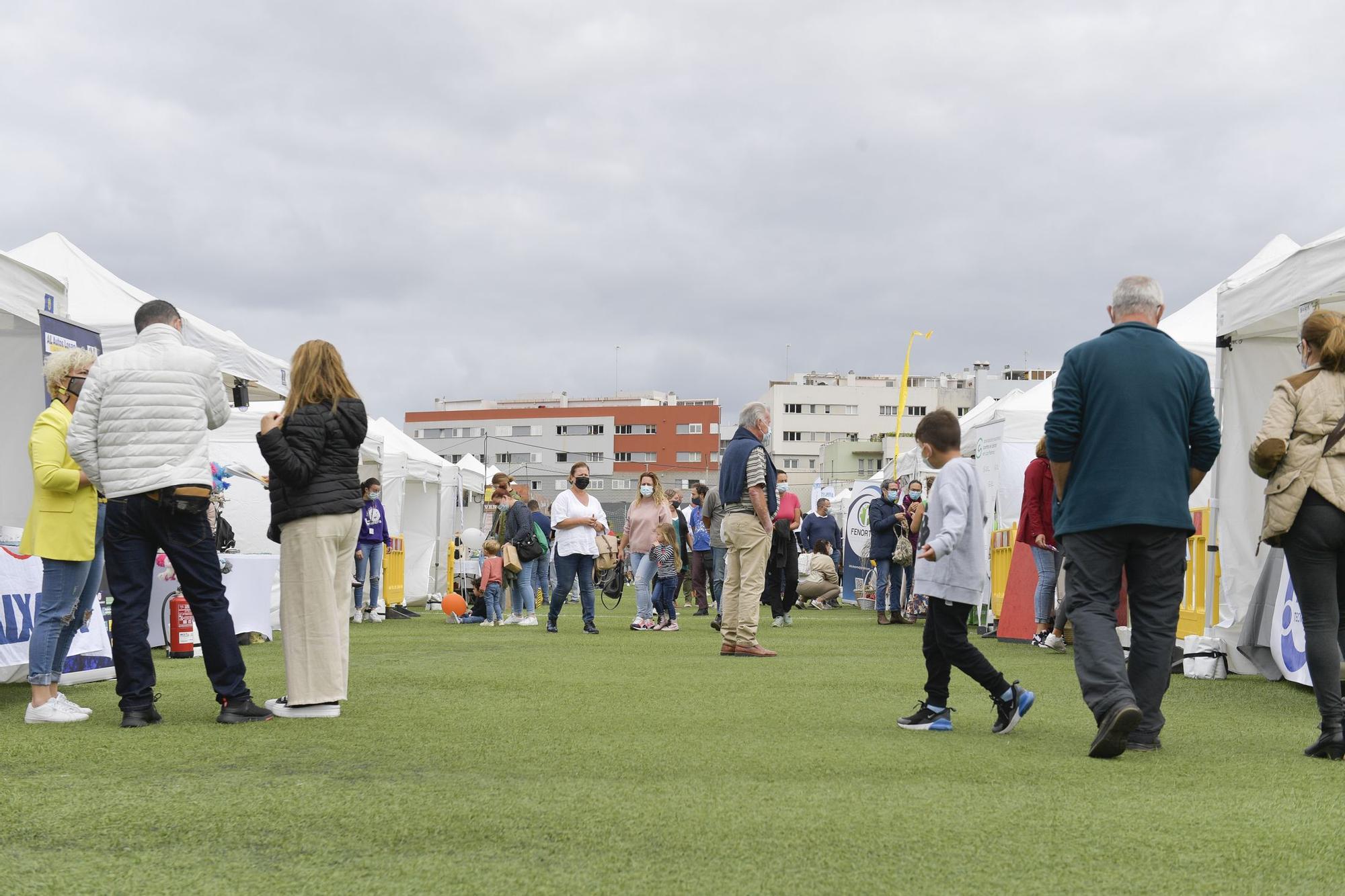 Segunda jornada de la feria Enorte