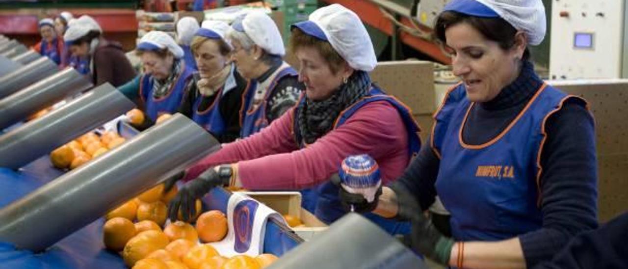 Máximos históricos de trabajo femenino en la industria y la agricultura