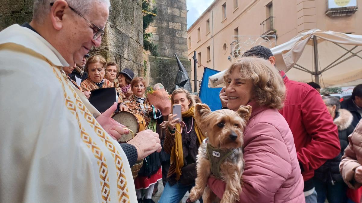 Una ciudadana pasa con su mascota ante el párroco para recibir el agua bendita.