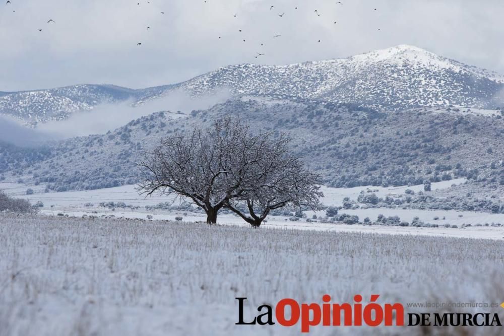 Nieve en el Noroeste