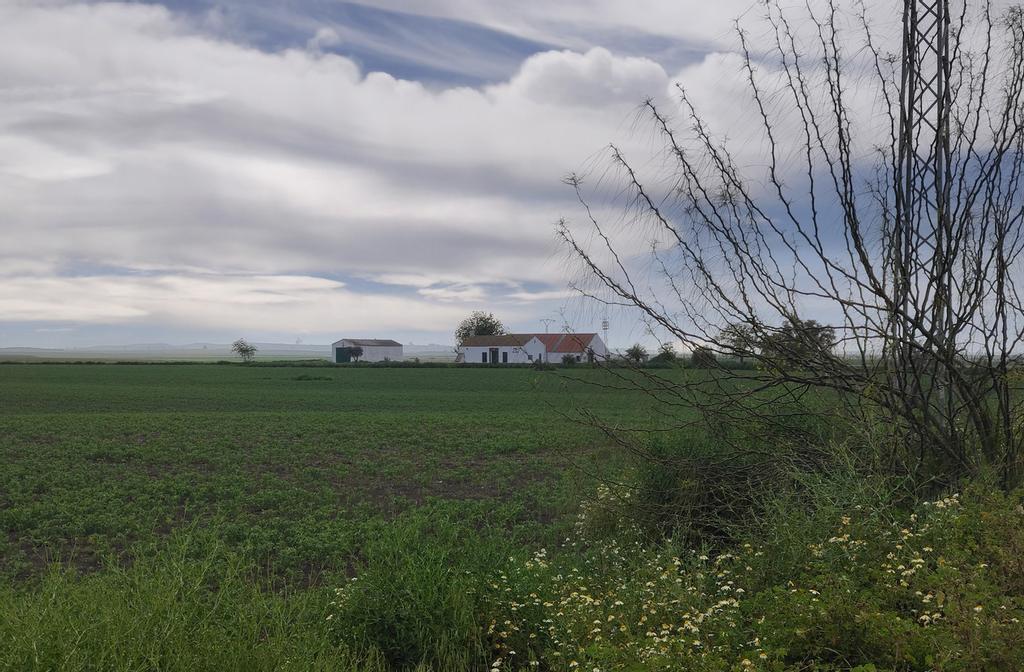 Casa gratis a cambio de trabajar como guardés de finca.