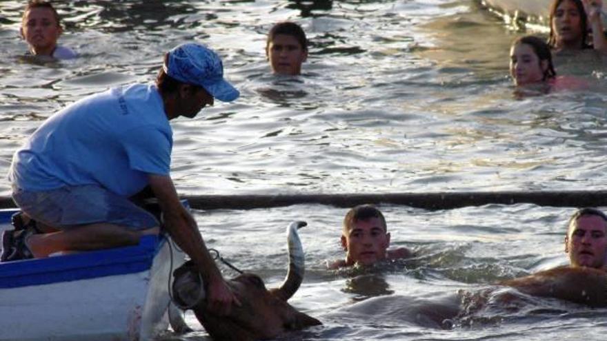 Denuncian los «bous a la mar» de Dénia por maltrato al toro  y por dejar entrar a menores