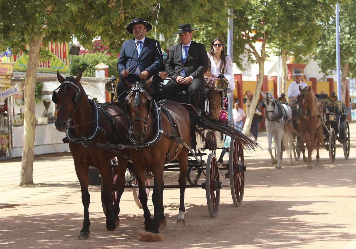 Fotogalería / Miércoles de Feria en Córdoba