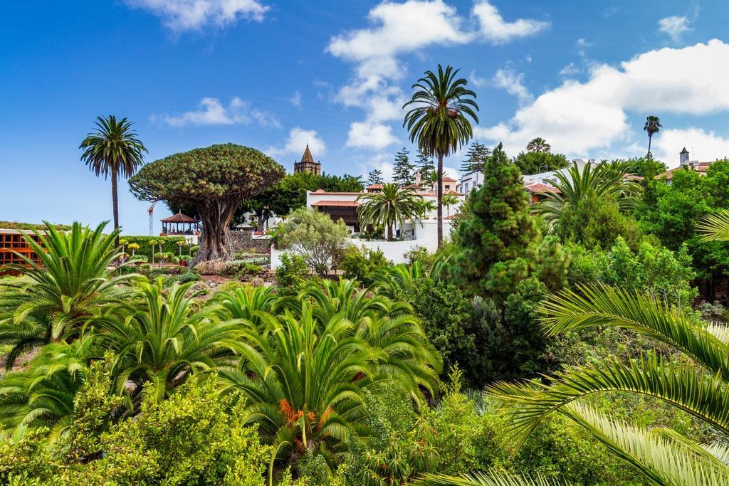 Drago milenario de Icod de los Vinos, Pueblo Mágico del Año 2023