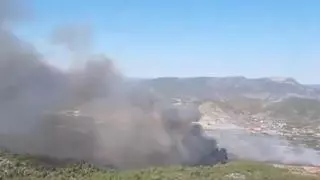 Cartorce medios aéreos combaten un incendio forestal declarado en Tuéjar