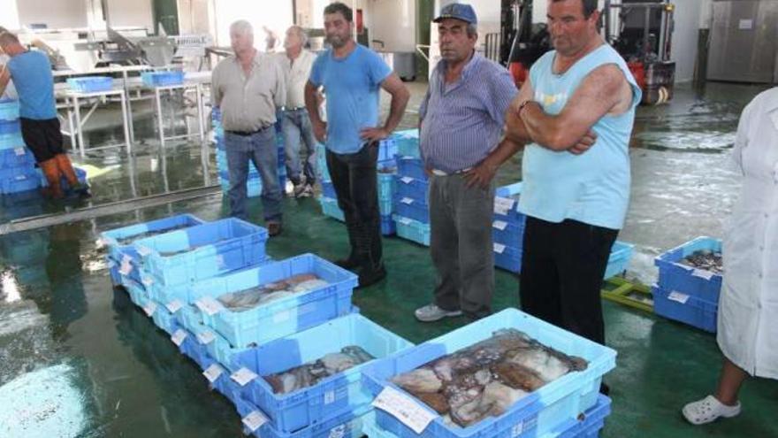 Subasta de pulpo celebrada durante esta campaña en una lonja gallega.  // Santos Álvarez