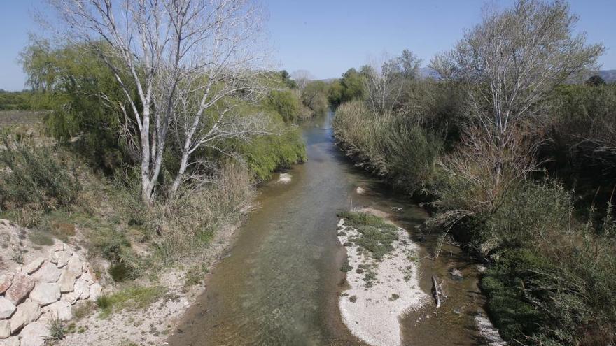 El río Xúquer a su paso por el término municipal de Carcaixent en una fotografía del pasado miércoles.