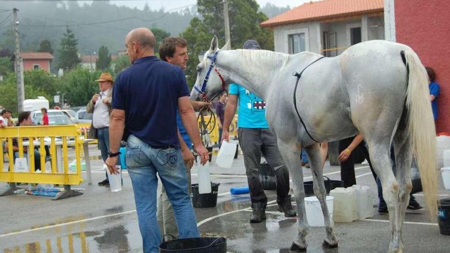 Un participante en la zona de &quot;Vet-Gate&quot; (inspección) en una edición anterior del raid ribadevense.