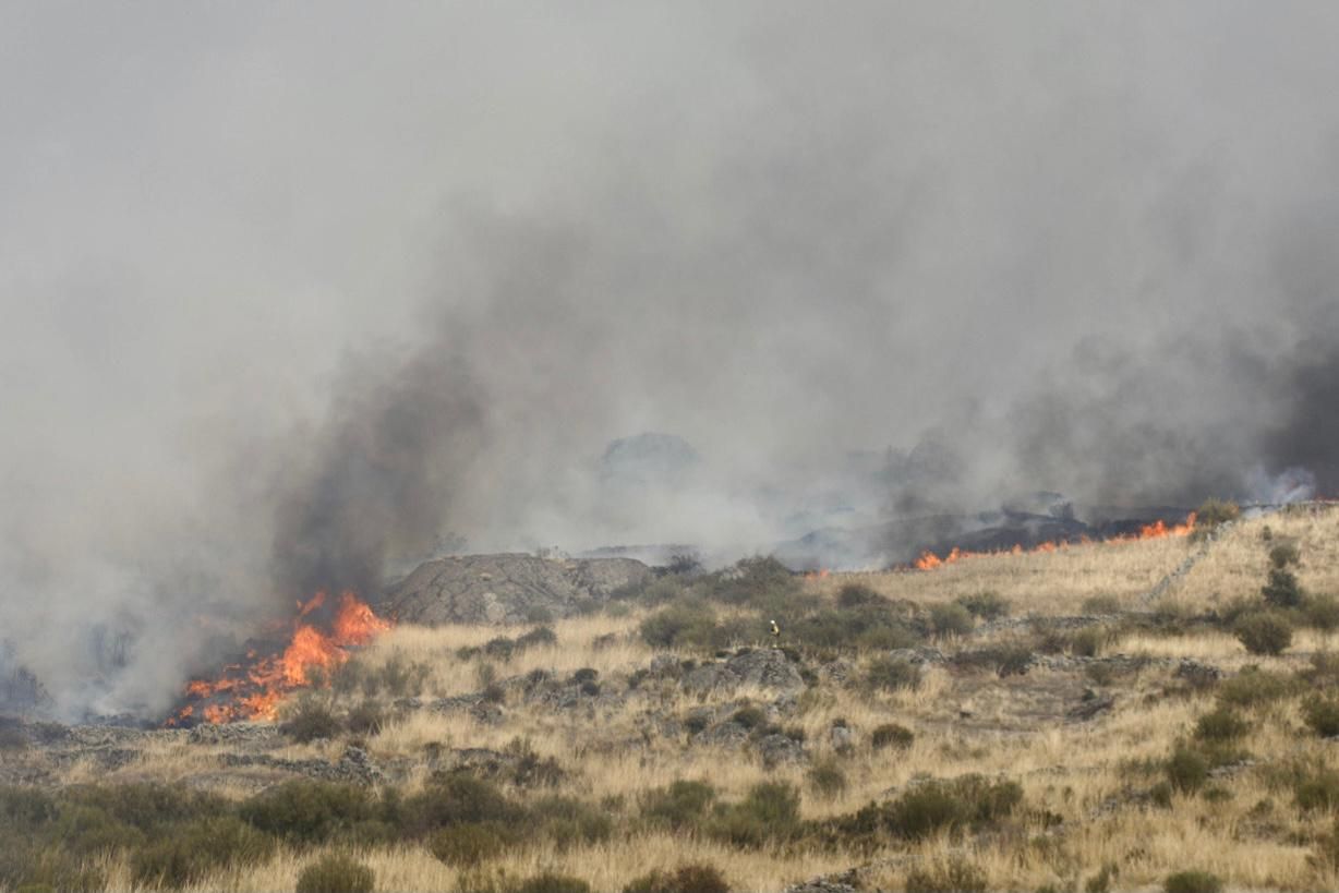 GALERÍA | Las imágenes del incendio de Carbajosa de Alba, en Zamora