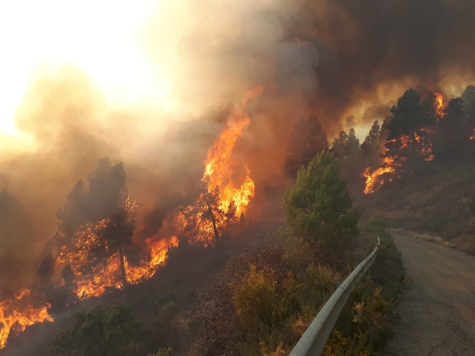 Las imágenes del incendio forestal en Villanueva de Viver