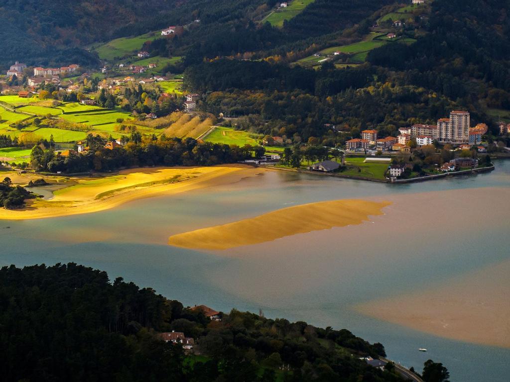 Marismas de Urdaibai