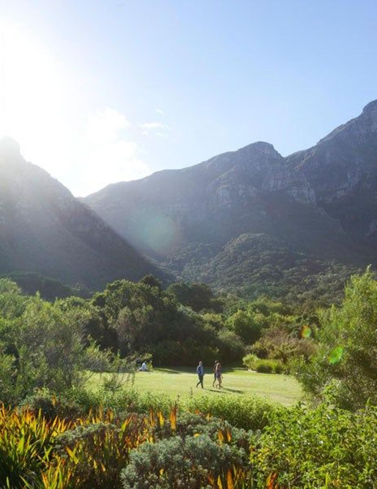 Jardines botánico de Kirstenbosch, en Ciudad del Cabo.
