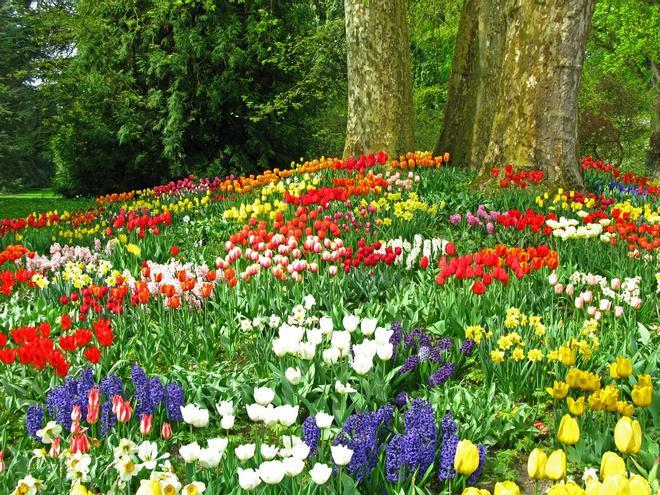 Isla de Mainau, Alemania