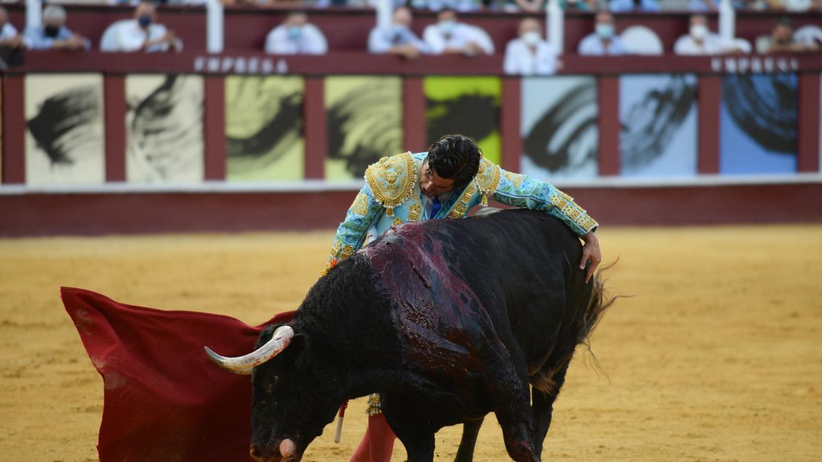 Las imágenes de la corrida Picassiana de 2021 en la plaza de toros de La Malagueta