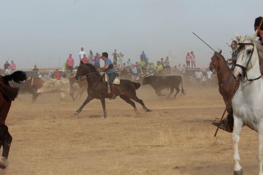 Fiestas en Zamora: Espantos en Carbajales