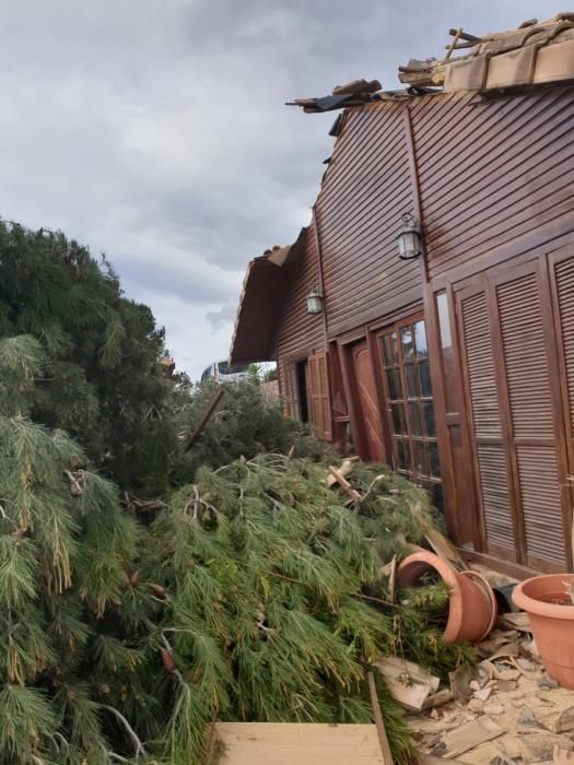 Daños por el viento en la Baronía