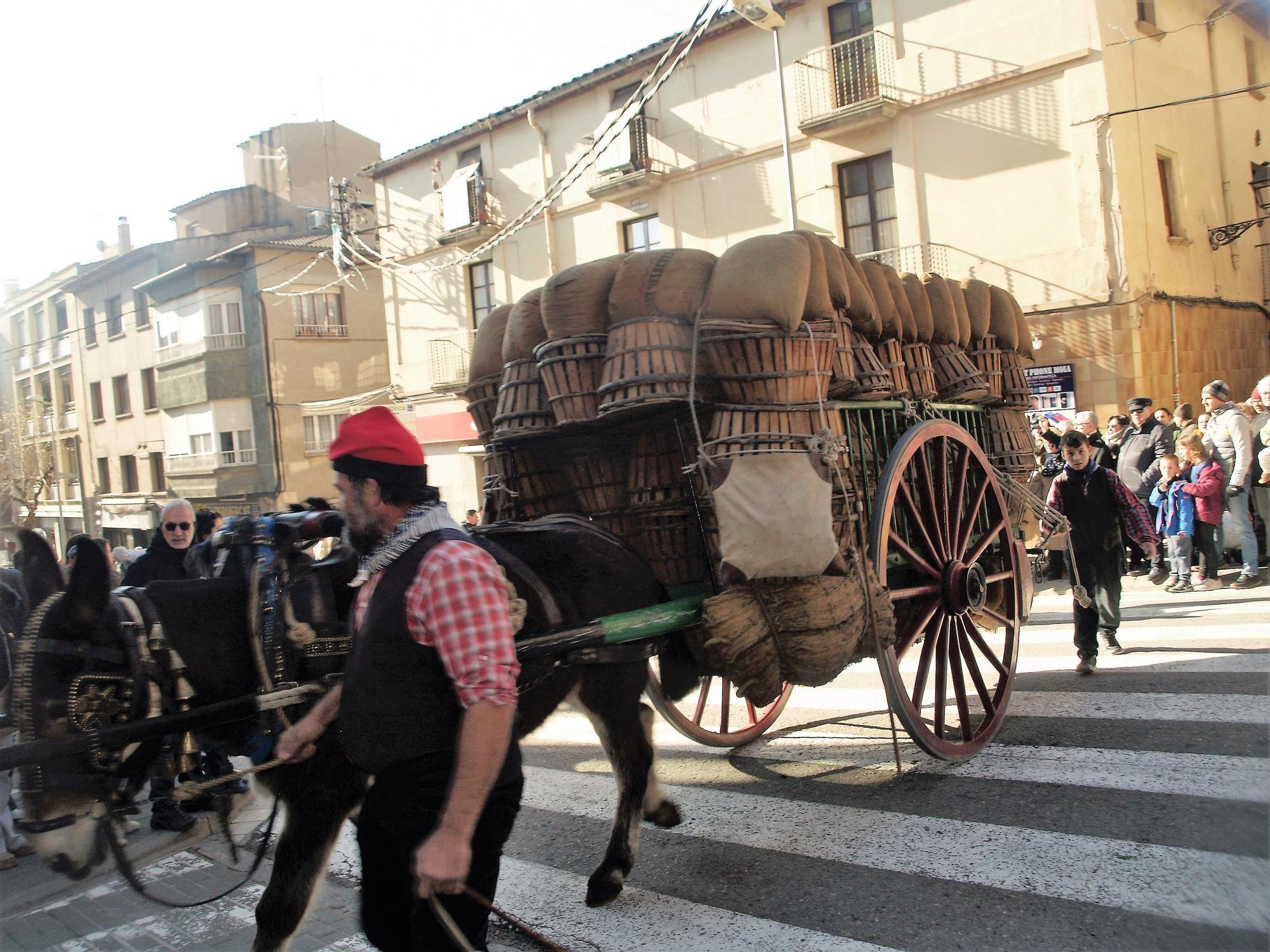 Festa dels Tres Tombs de Moià