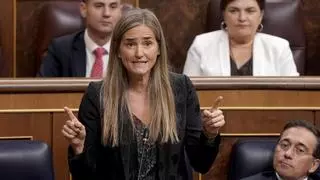 El Gobierno acelera para lanzar ‘in extremis’ la gran ampliación de las redes eléctricas antes de las elecciones