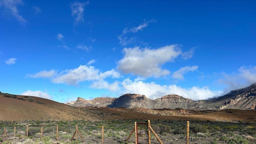 El Gobierno de Canarias invierte 1,2 millones en la restauración del ecosistema del Parque Nacional del Teide