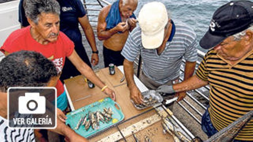 &quot;Vendo pescado fresco a dos reales&quot;