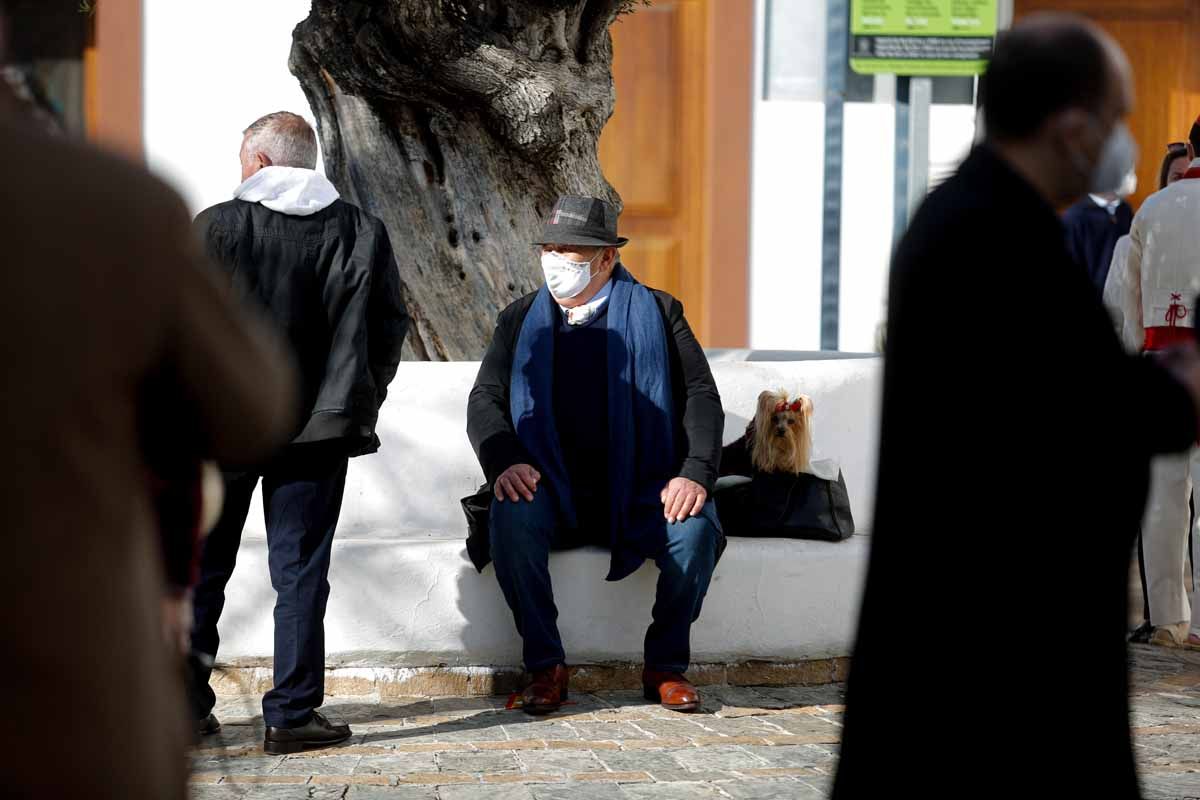 Bendición de animales en Sant Antoni