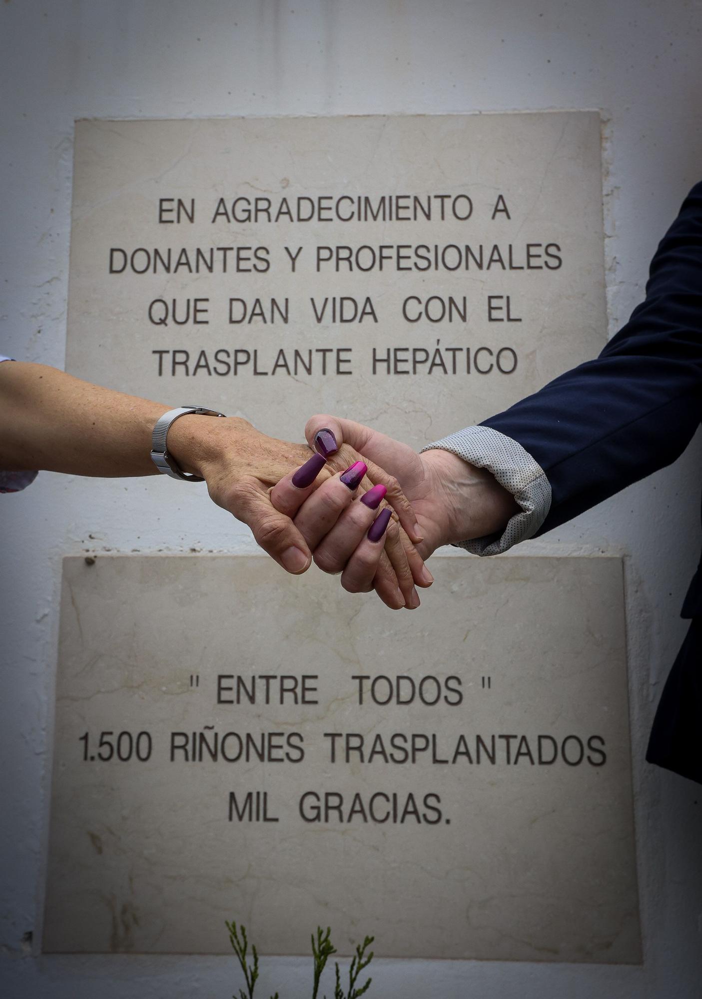 Día del donante de órganos y tejidos en Alicante