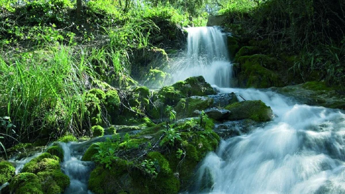 Una imagen de un caudal de agua en una sierra malagueña.