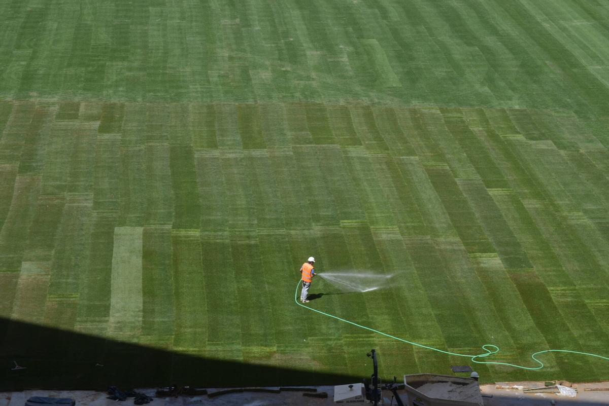 The La Cartuja Stadium already looks the new lawn