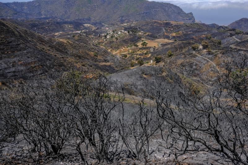 Consecuencias del incendio: De Valleseco a Artenar