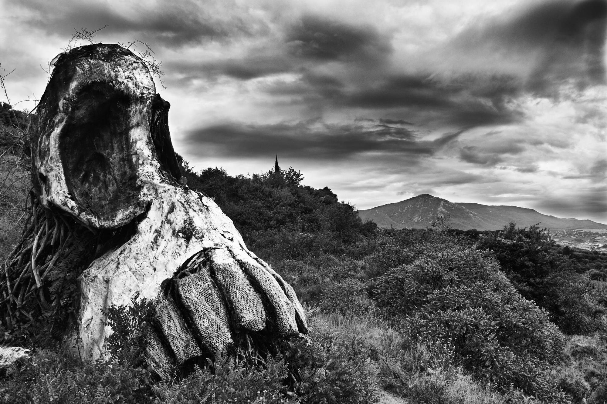 Escultura de una calavera en el Parque de Los Desvelados