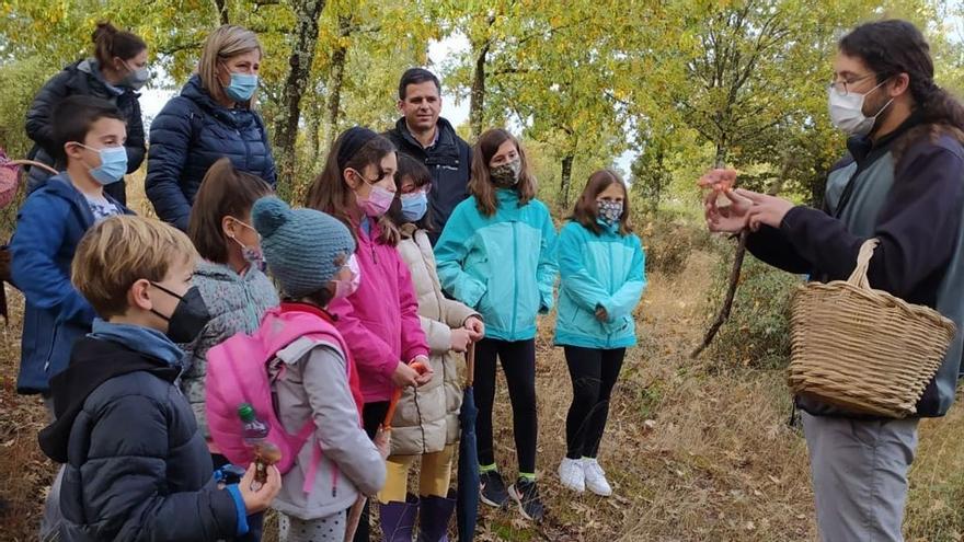 Las cinco características claves del primer Parque Micológico de Zamora