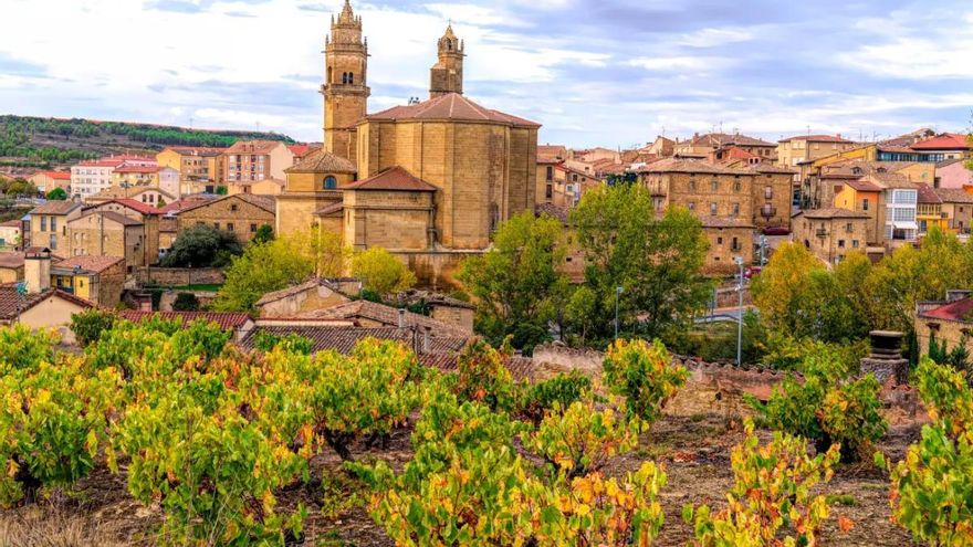 Un viaje por los mejores vinos de España: de Borja a Peñafiel