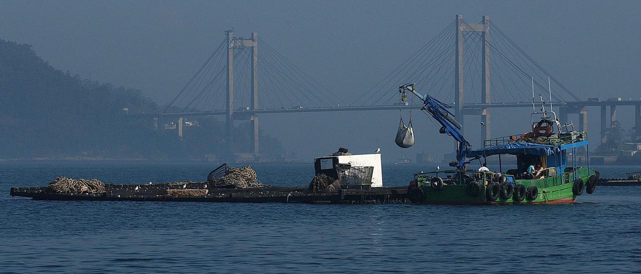 Bateas en la Ría de Vigo