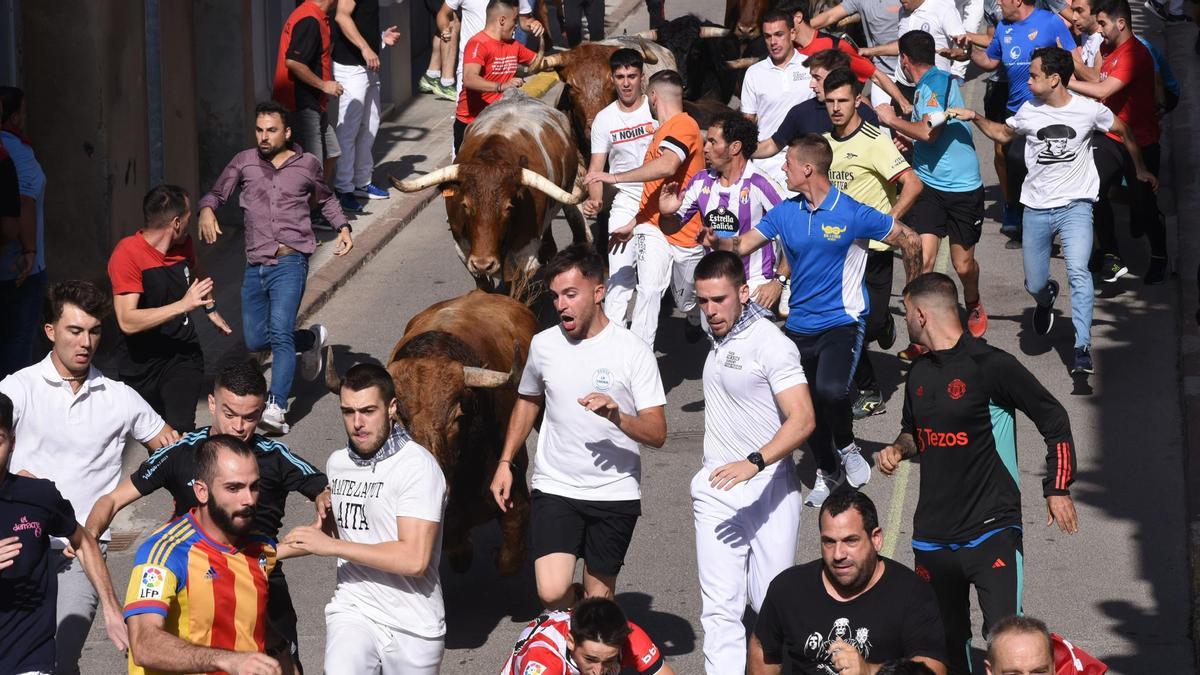 Los corredores, procedentes de toda España, no cesaron en su empeño de tomar posiciones entre los astados.