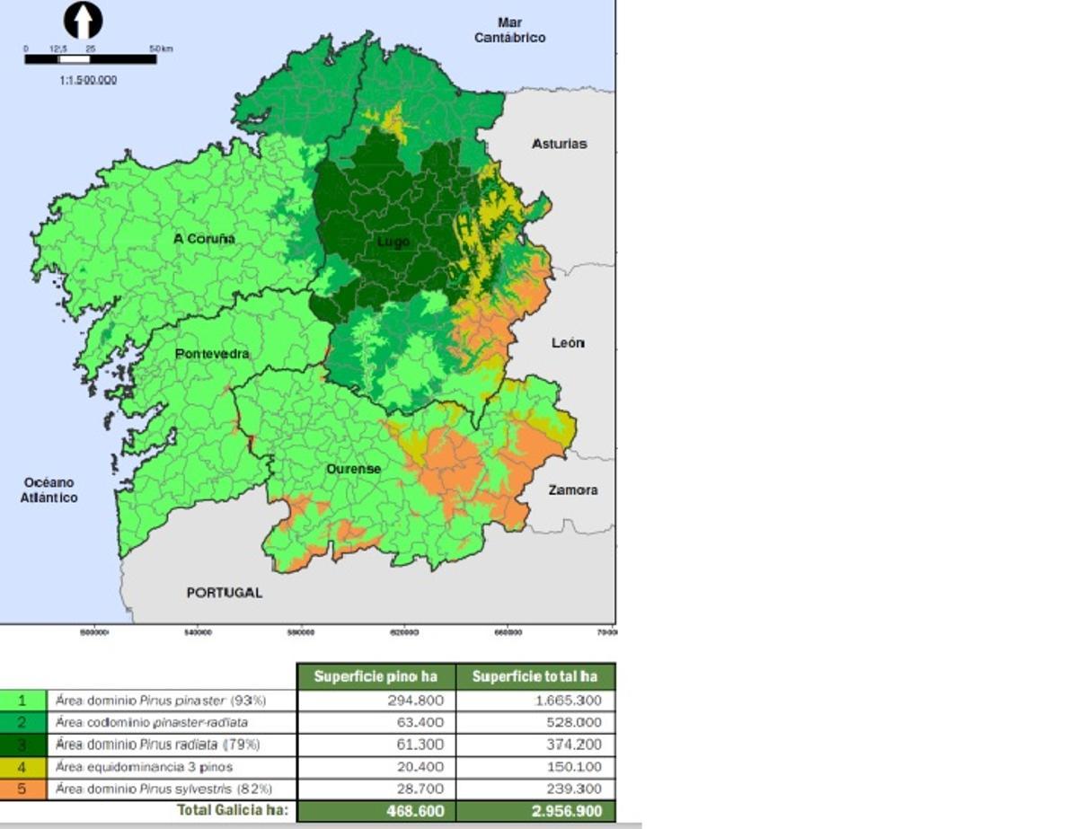 Superficie pinos Galicia