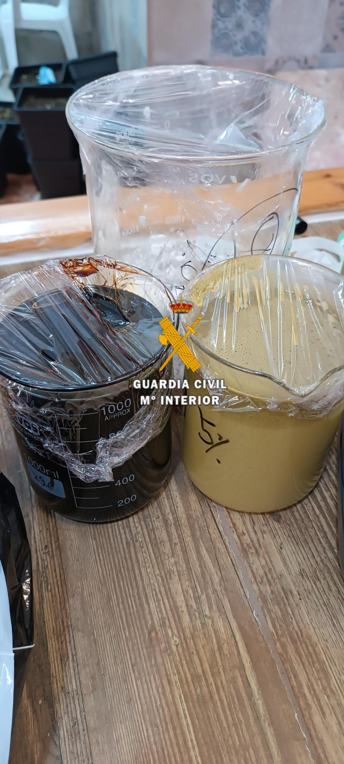 Productos intervenidos en el laboratorio.