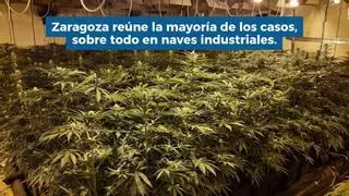 Los robos de luz en Aragón equivalen al consumo anual de un pueblo de 7.000 habitantes: las plantaciones de marihuana disparan las cifras