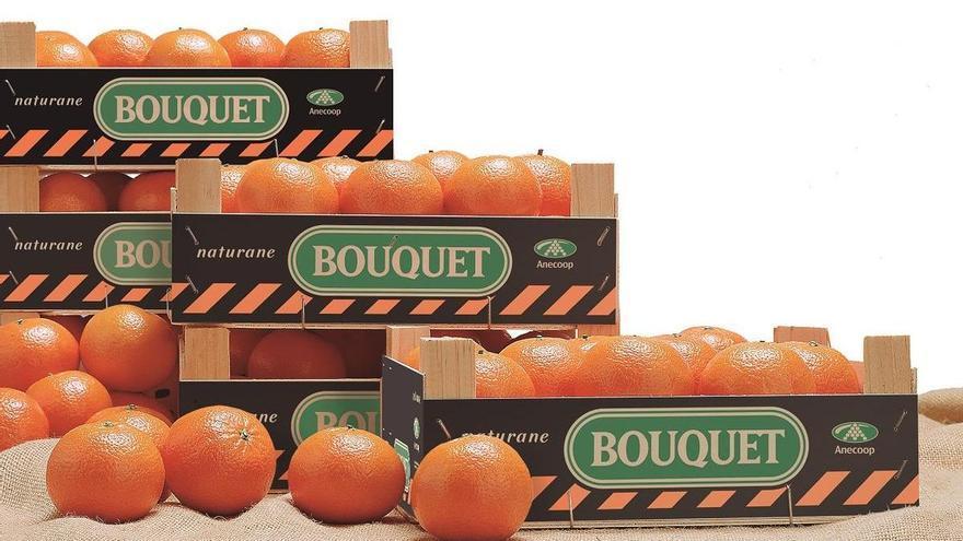 Anecoop repartirá 1.250 kilos de mandarinas bouquet en la 10KFEM de Valencia