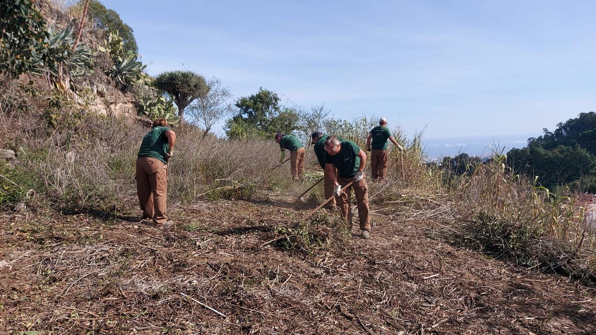 Las personas contratadas para el proyecto trabajan la tierra en Valleseco.