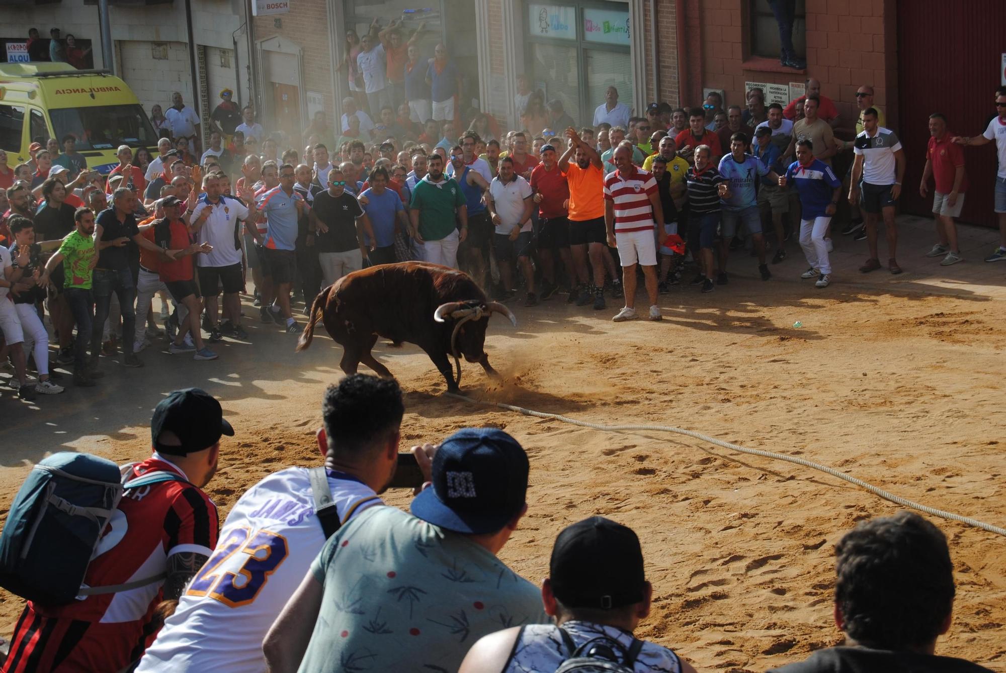 Así ha sido la carrera del torito Espléndido en Benavente